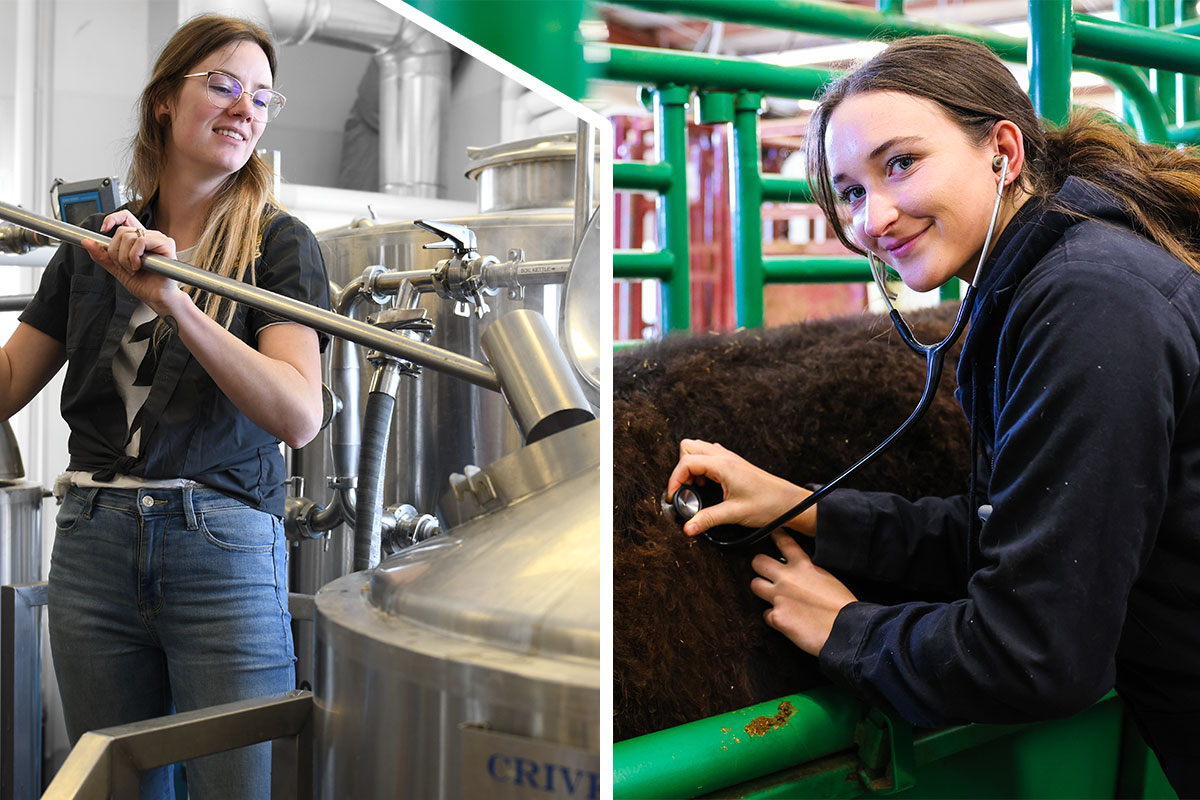 In Step with Industry: Olds College Renames Animal Health & Brewmaster Diplomas